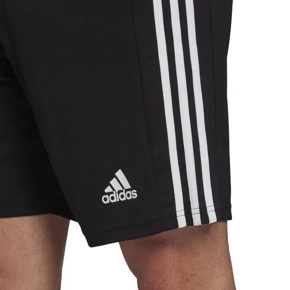adidas Squadra 21 Shorts - Black