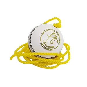 Apg Leather Cricket Hanging Ball, 7 ft, (White)