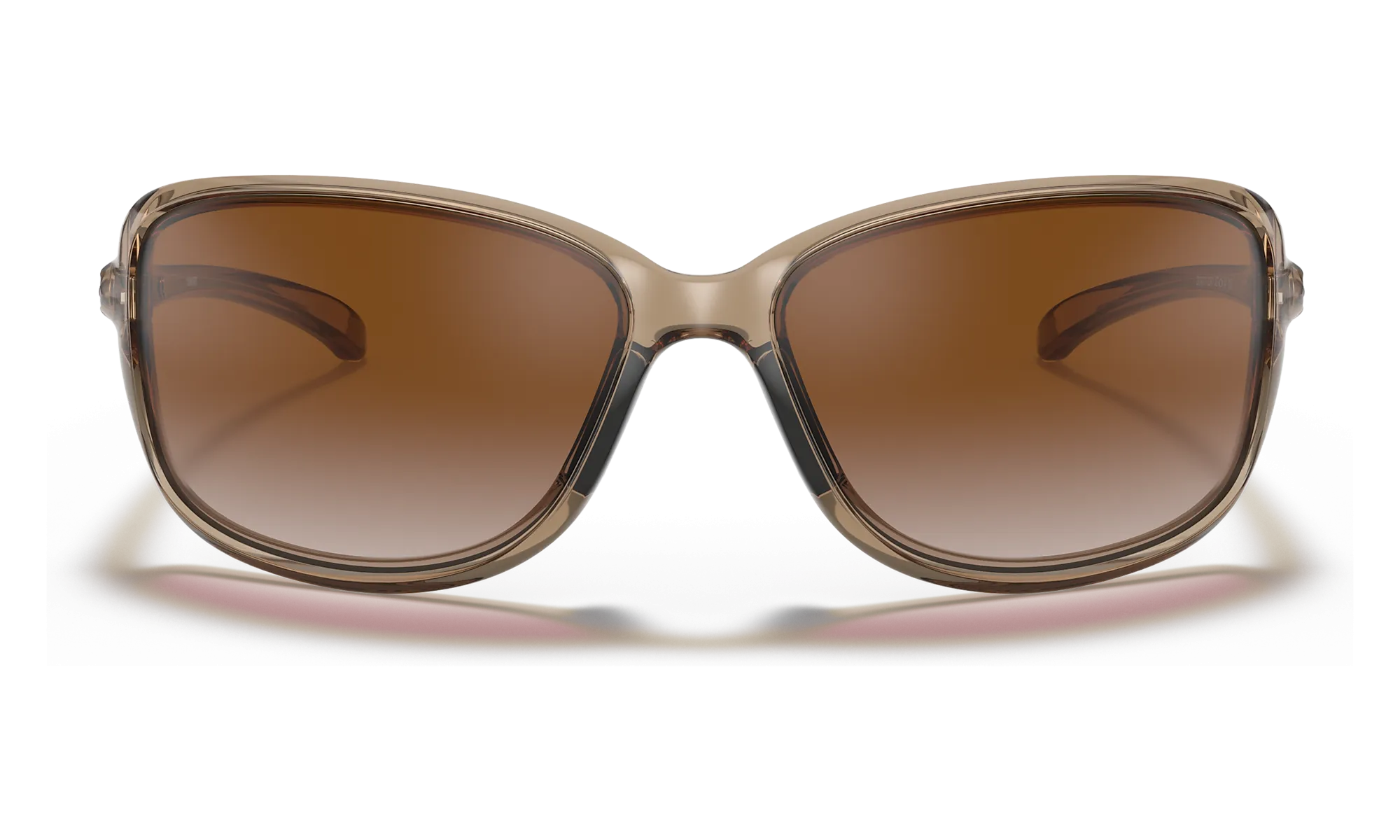 Cohort - Sepia w/ Dark Brown Gradient