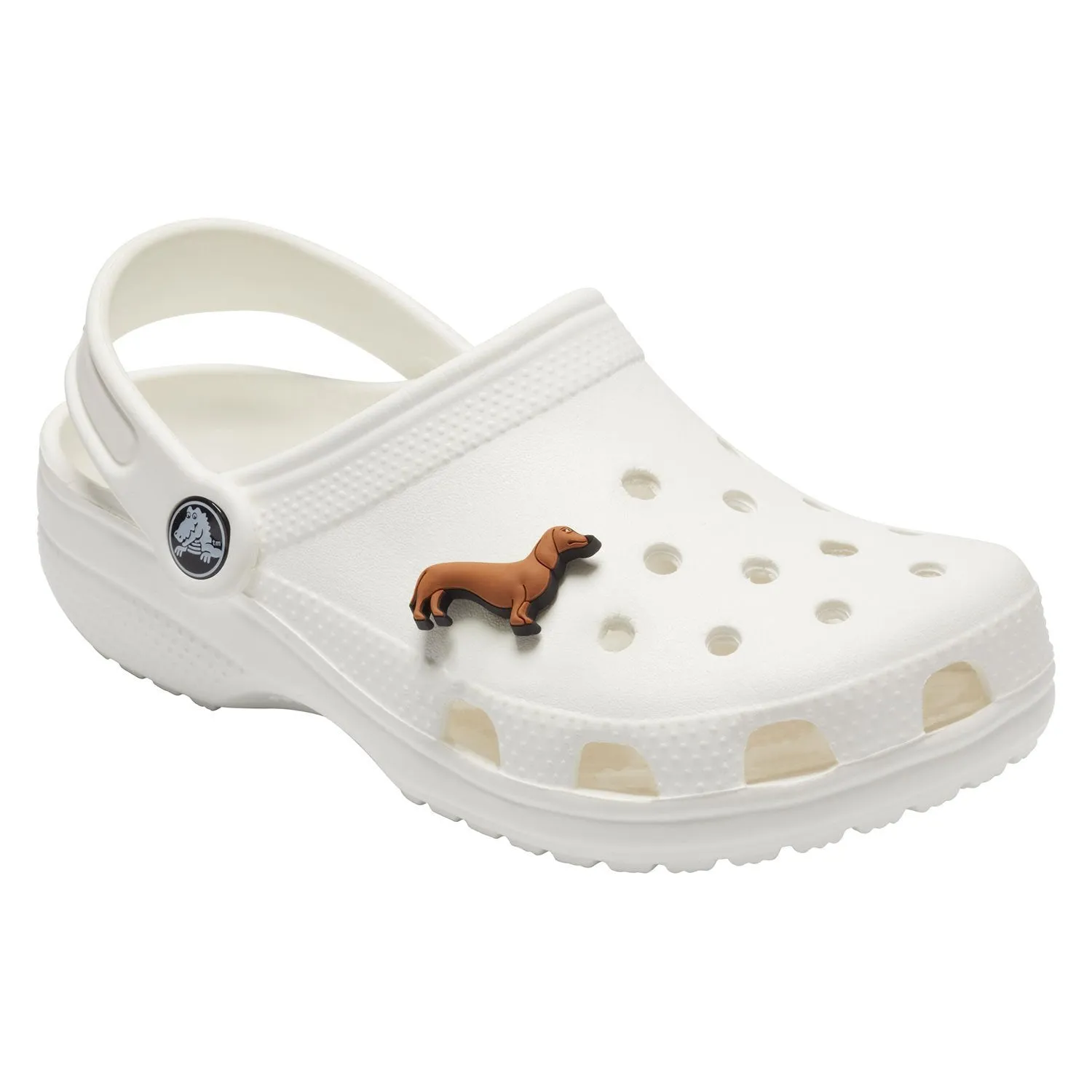 Dachshund Jibbitz