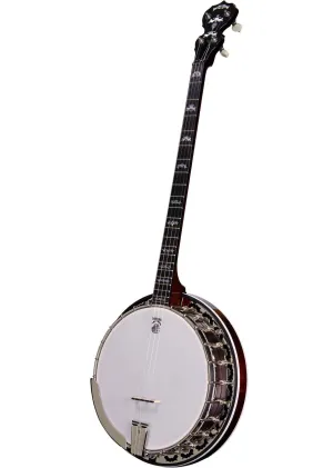 Deering Eagle II Plectrum Banjo
