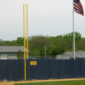 Douglas® Professional Foul Poles