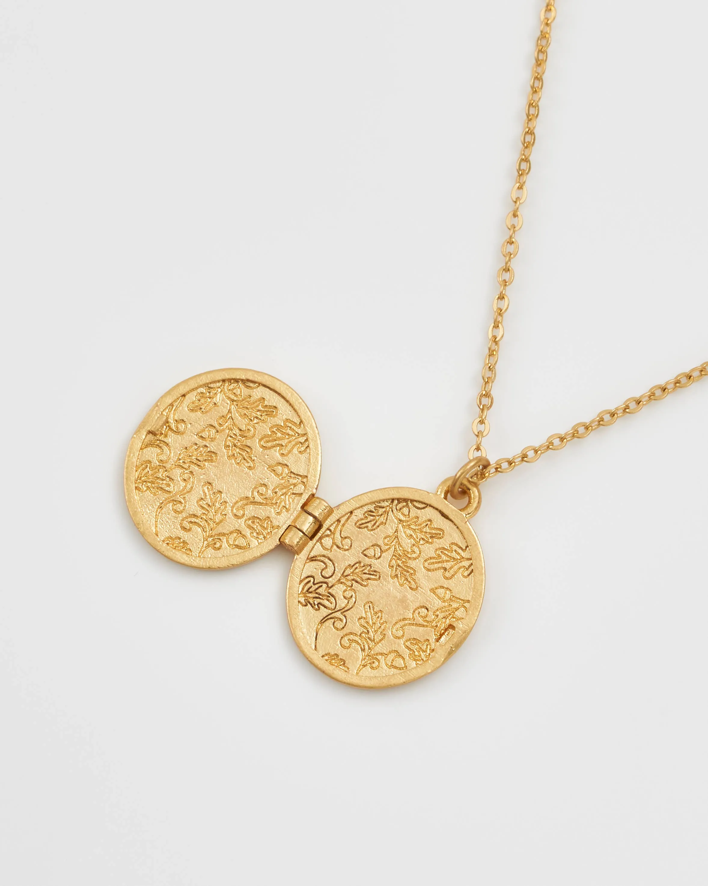 FABLE Running Bunny Locket