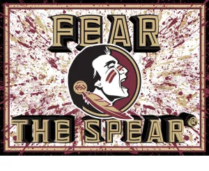 Florida State Seminoles 3D Art Print 12x16 Splatter