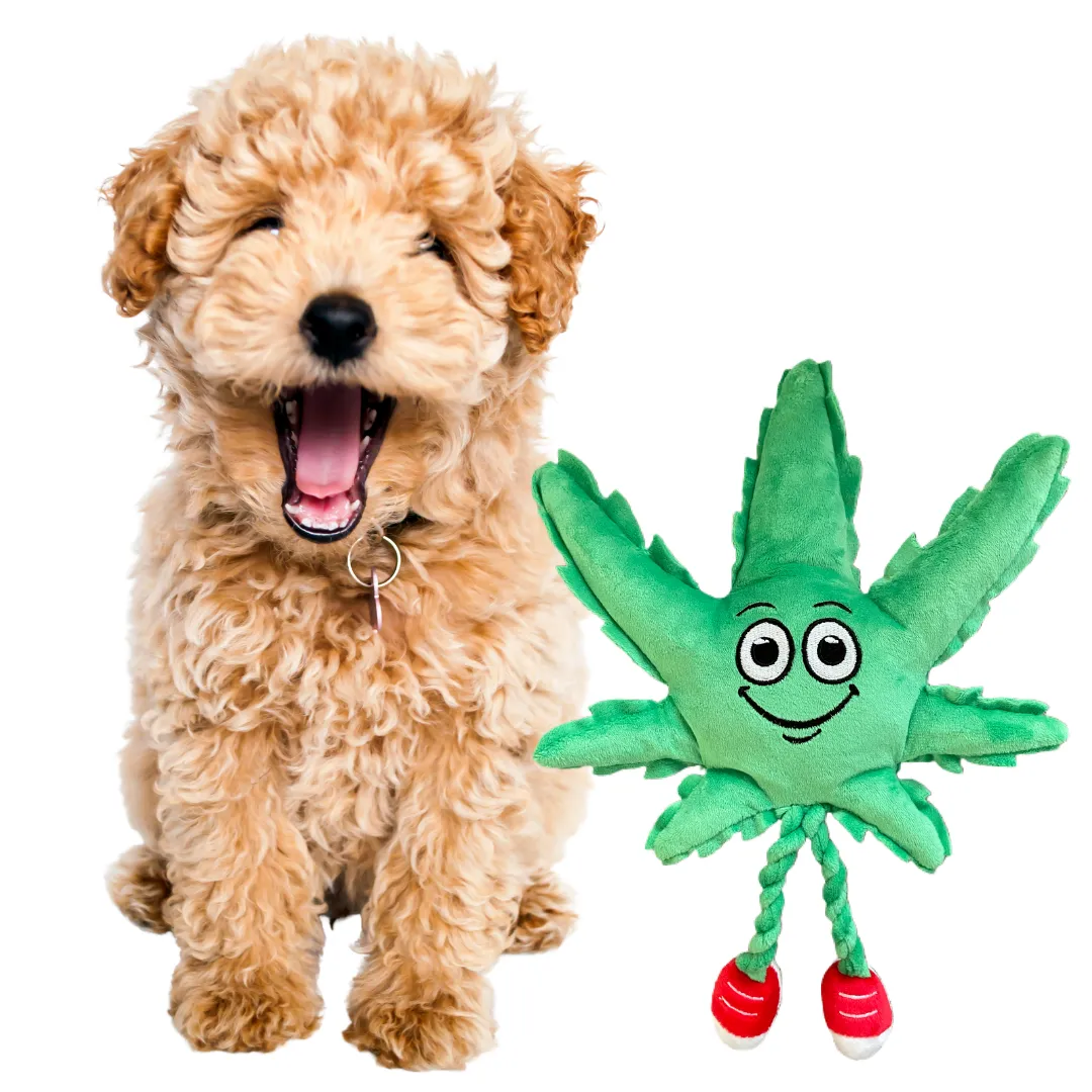 MJ the Leaf 420 Dog Toy