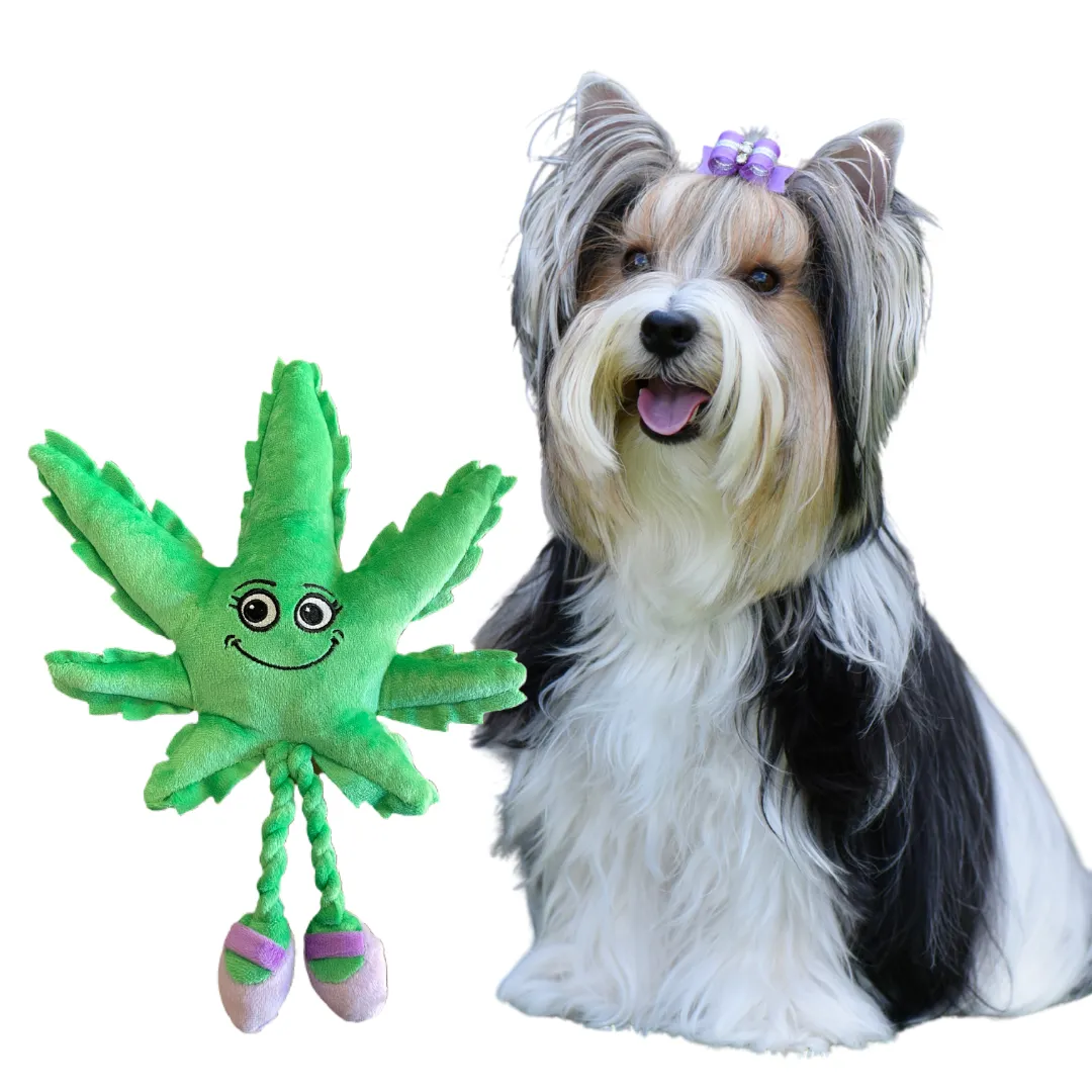MJ the Leaf 420 Dog Toy