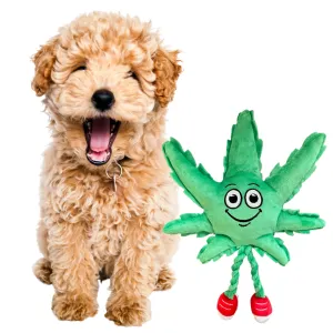 MJ the Leaf 420 Dog Toy