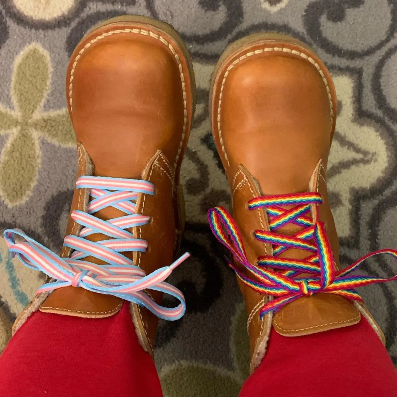Pride Trans Laces 54"