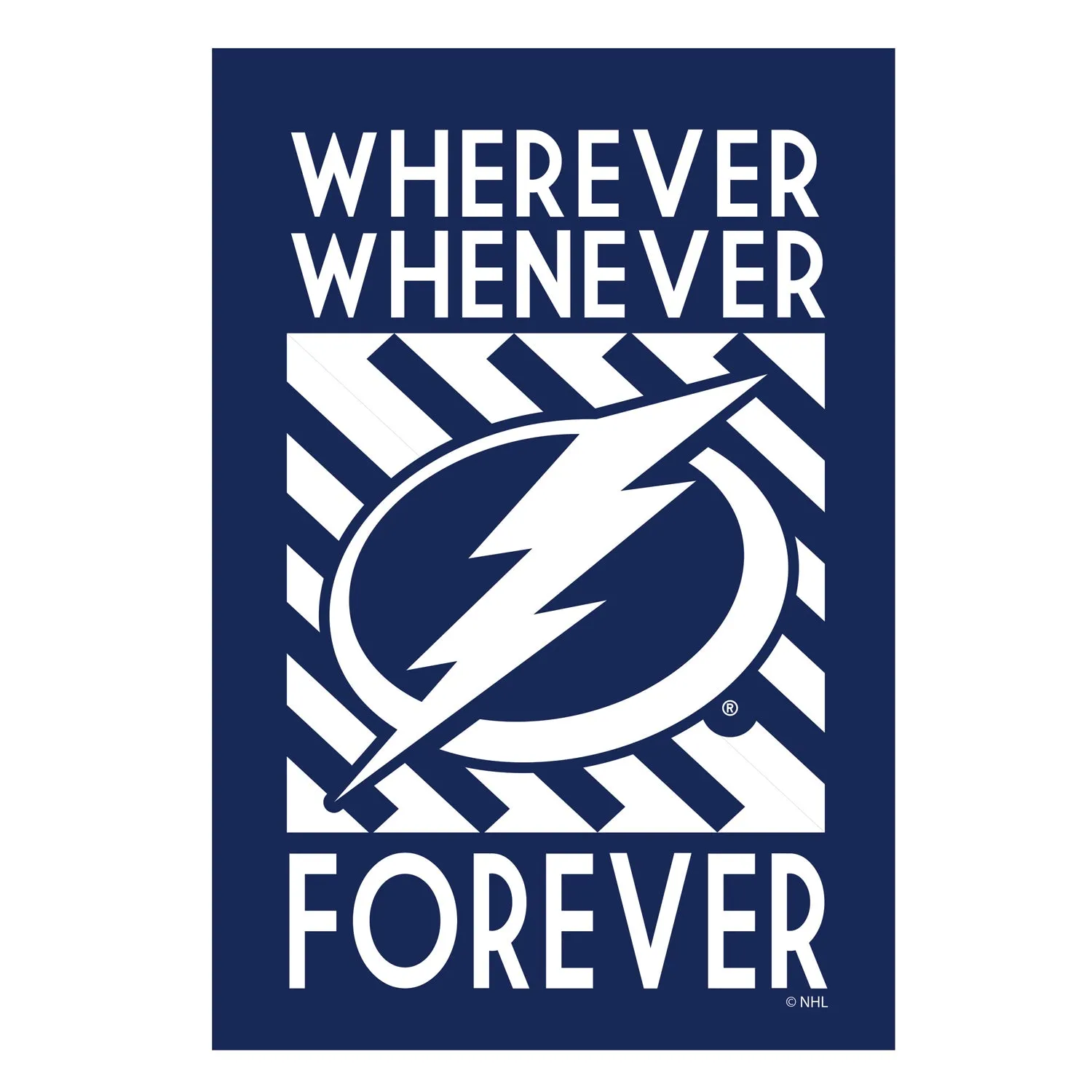 Tampa Bay Lightning, WWF Flag GDN,14lu4375wwf