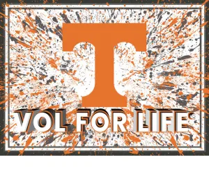 Tennessee Volunteers 3D Art Print 12x16 Splatter