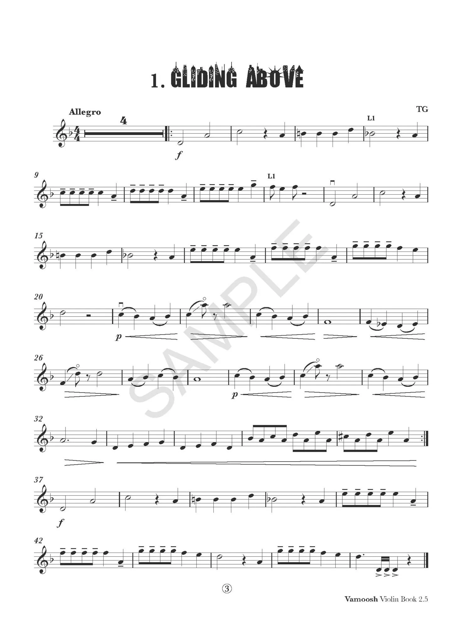 Vamoosh Violin Book 2.5