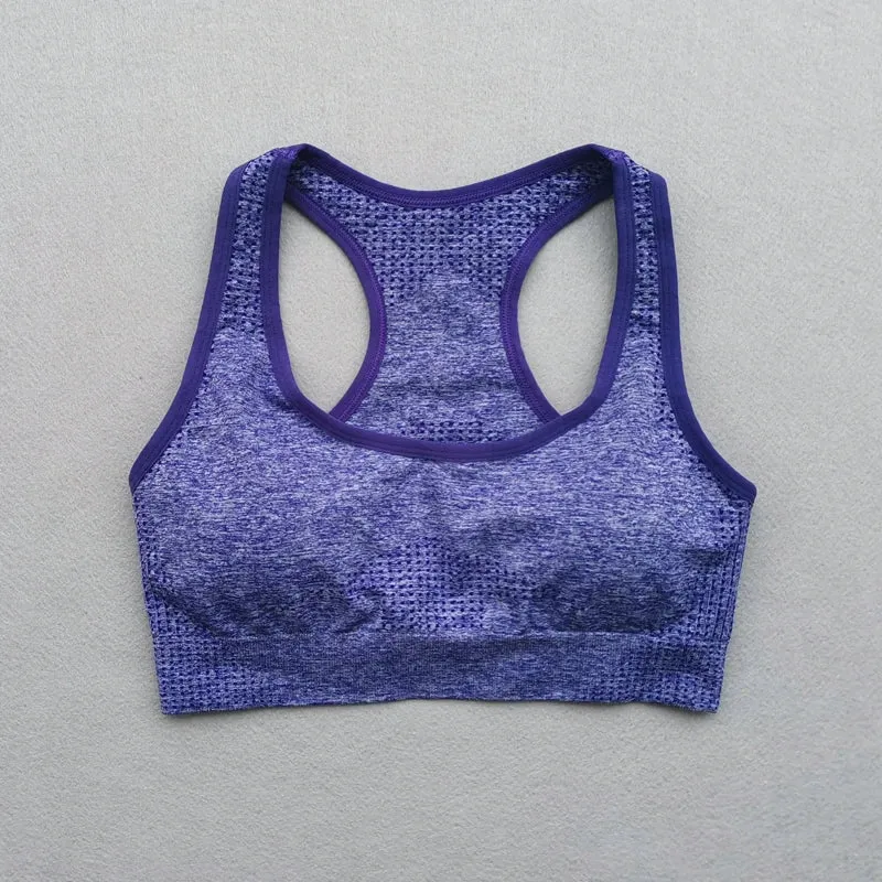 Vital Seamless Sports Bra for Women Fitness Gym