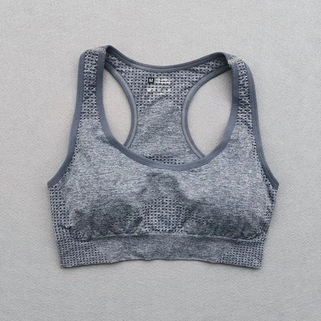 Vital Seamless Sports Bra for Women Fitness Gym