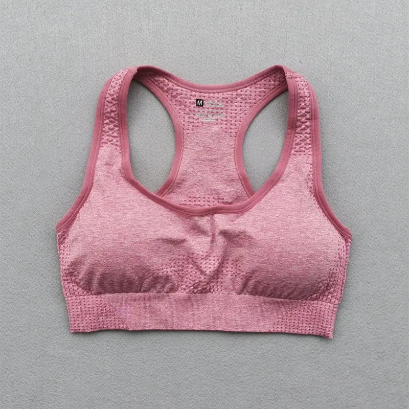 Vital Seamless Sports Bra for Women Fitness Gym