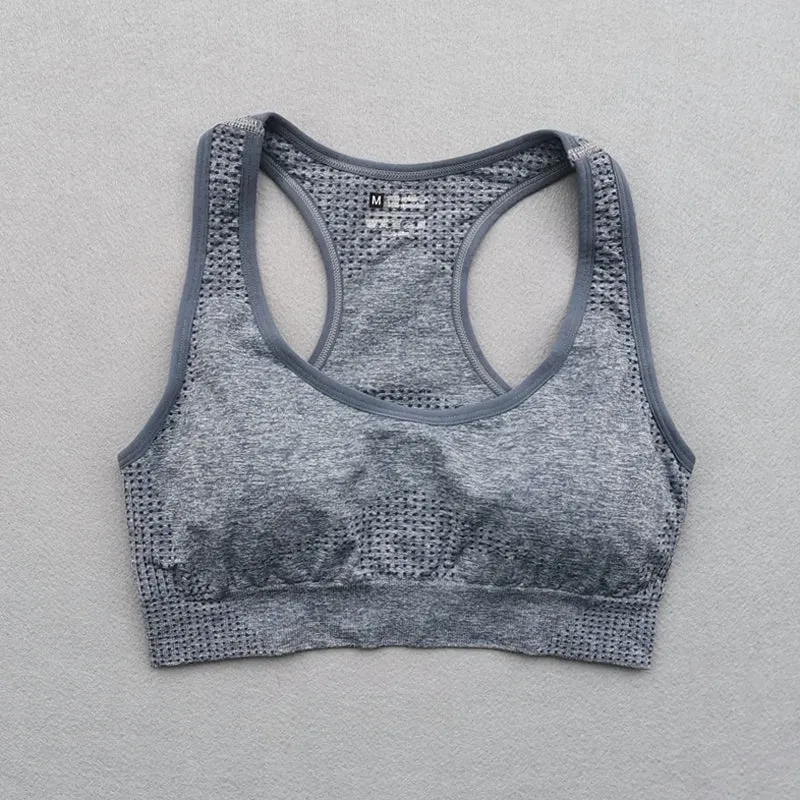 Vital Seamless Sports Bra for Women Fitness Gym