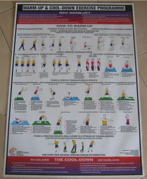Warm Up/Cool Down Exercise Chart