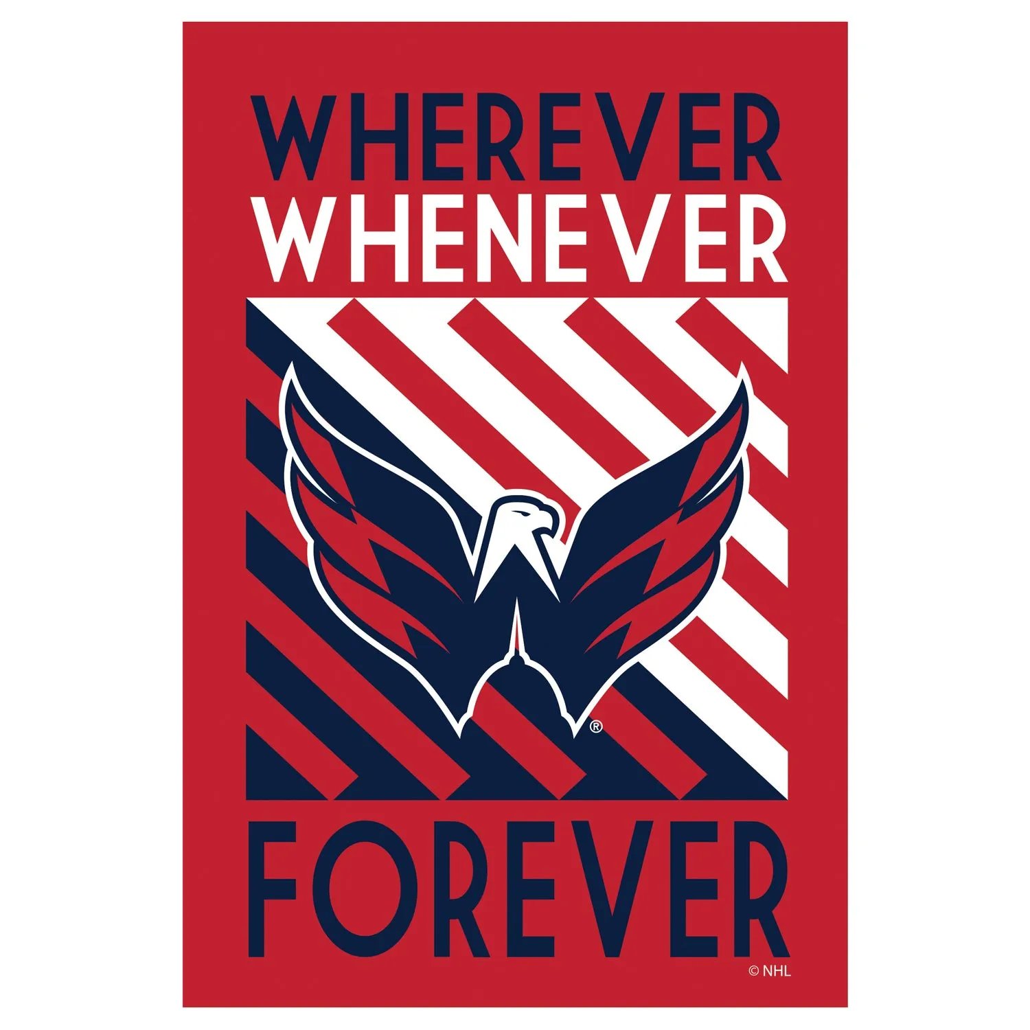 Washington Capitals, WWF Fan REG,13lu4378wwf