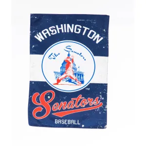 Washington Nationals, Vintage Linen REG,13l4229vint